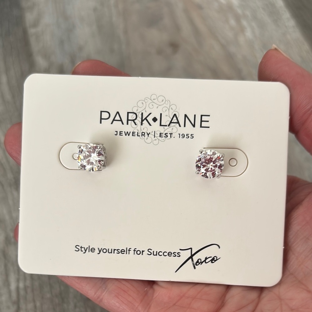 Impression Earrings Sliver